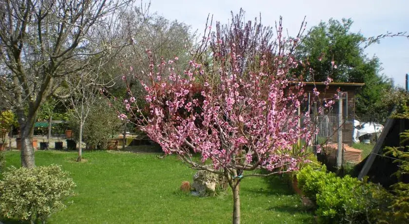Le Millefoglie