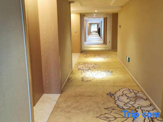Vienna International Hotel Jurong Huayang