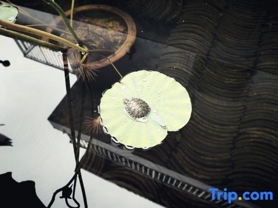 Zhaji Shangbala Meishe Puyuan Vacation Apartment