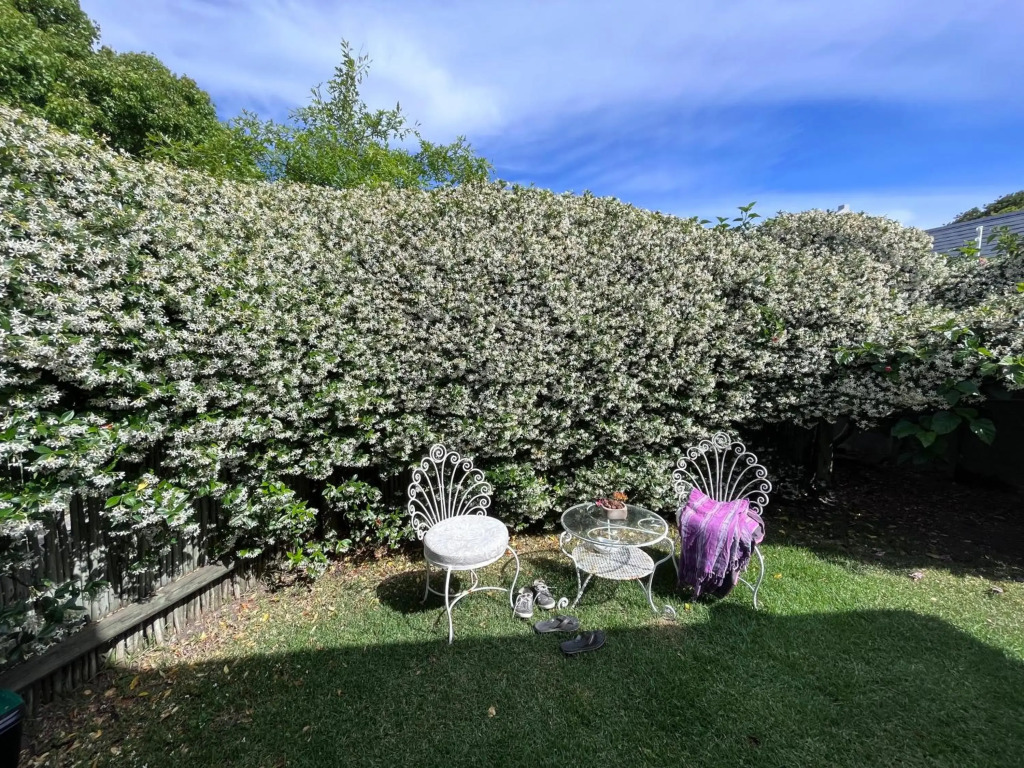 Jasmine Cottage - Cool cottage, hot location