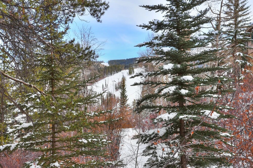 Luxurious 3 Bedroom/4 Bath Townhome- Beaver Creek Ski-in/out Townhouse by RedAwning