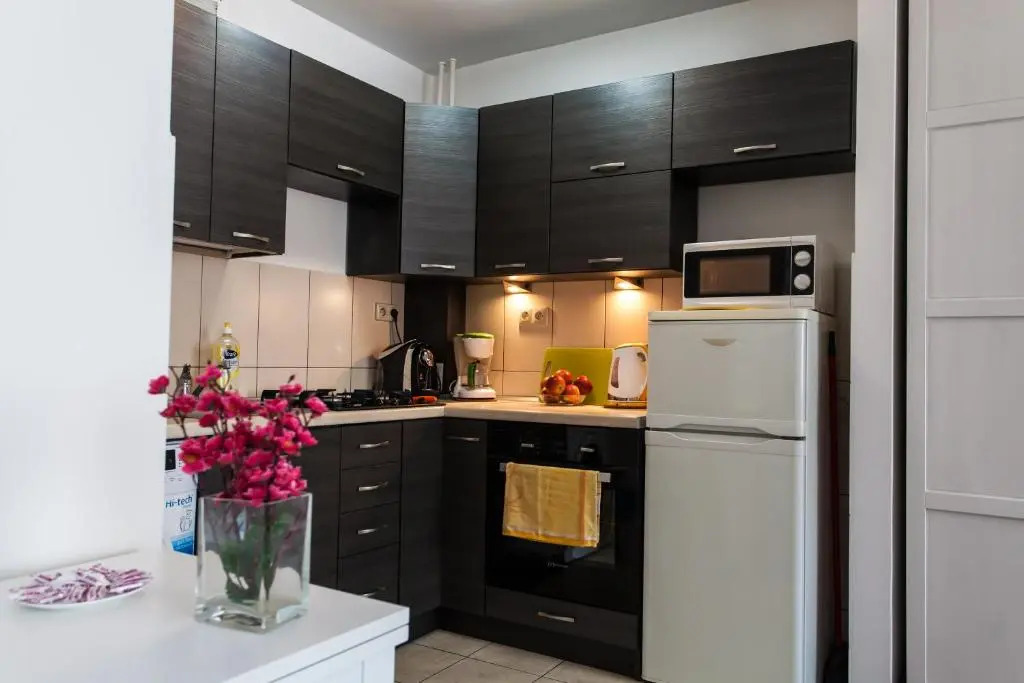Apartment Spodek Katowice by Renters