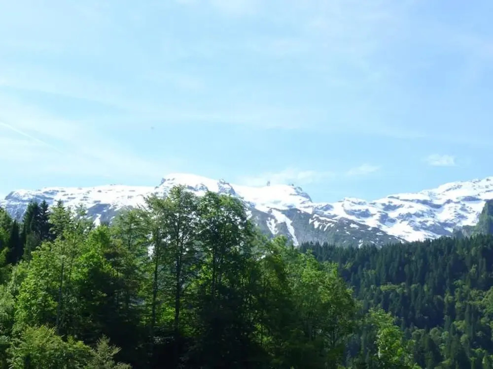 Sattelboden 4 Engelberg