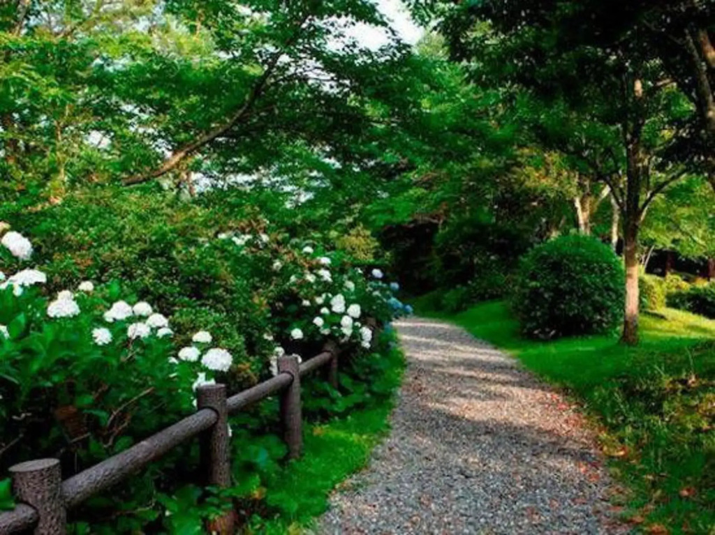 Hashiguchi Ryokan
