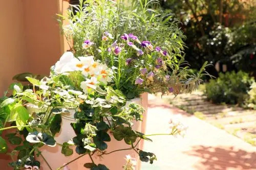 Bed  Breakfast Paradiso 24