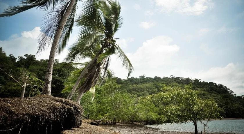 Drake Bay Backpackers