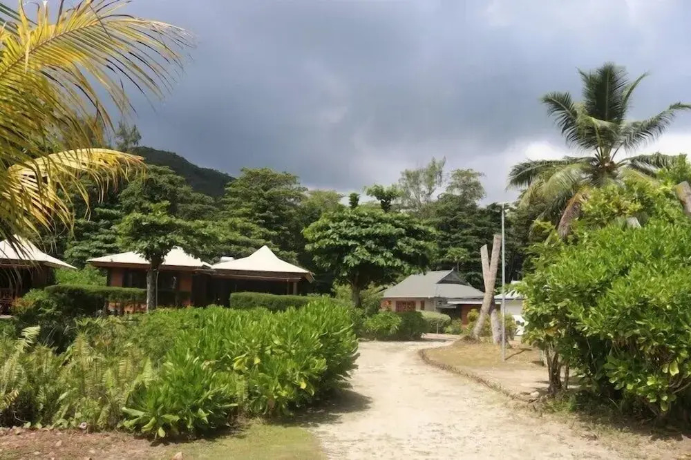 Heliconia Grove