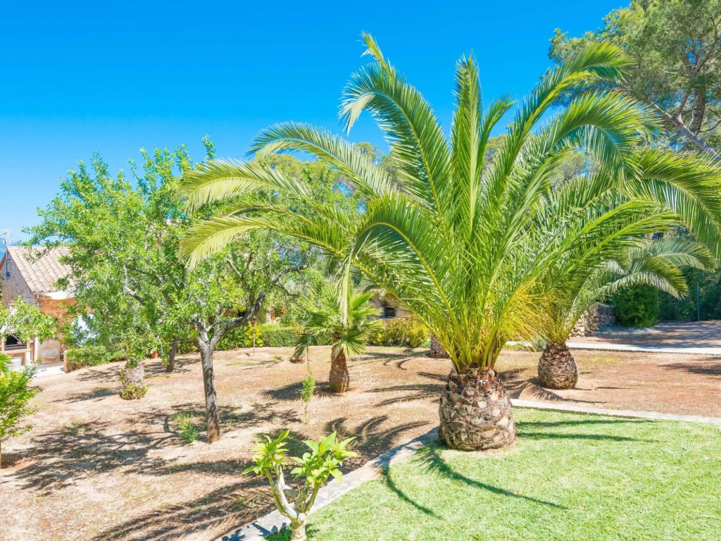 CA NA BARBARA - Villa for 8 people in Santa Maria del Camí.