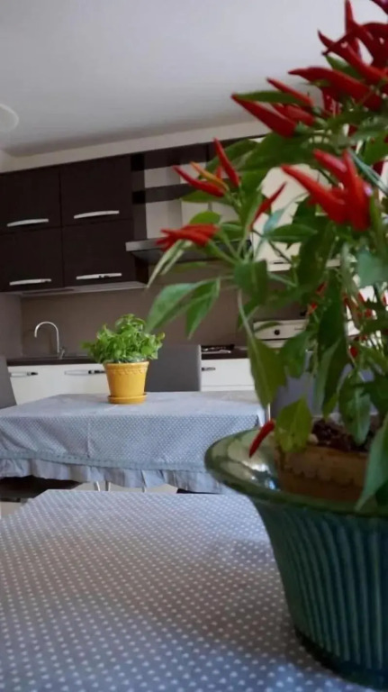 Residenza Il Cacao