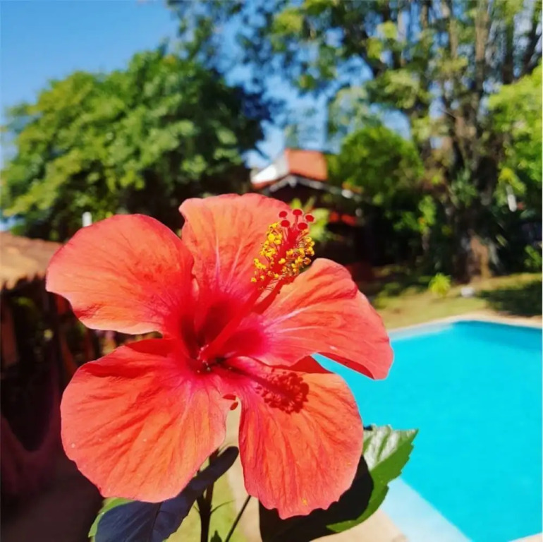 Hostel Iguazu Falls