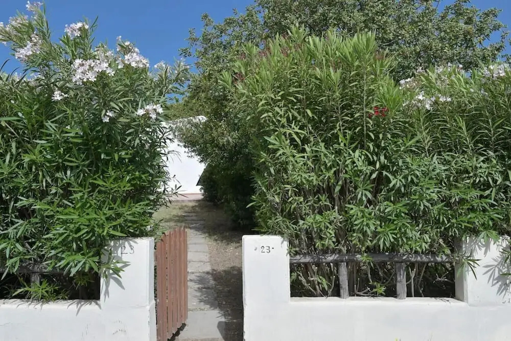 Villa Adele Garden BBQ near the beach