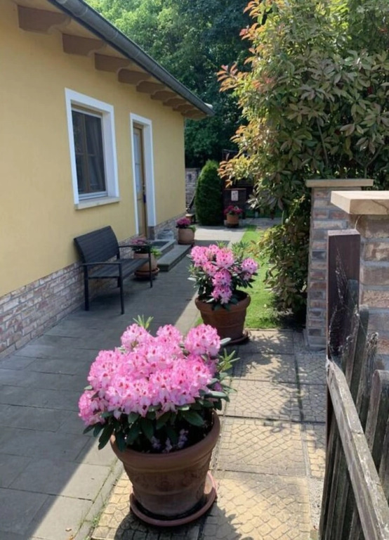 Pleasant Apartment in Schwielowsee