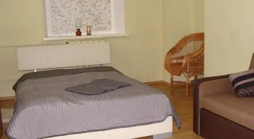 Aušros Vartų Apartment