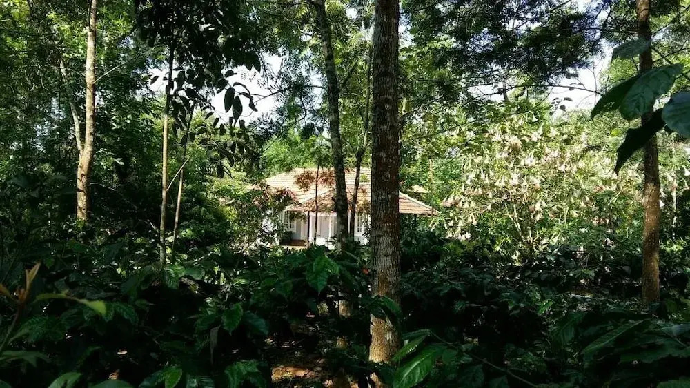 Whispering Woods by Rai Hospitalities