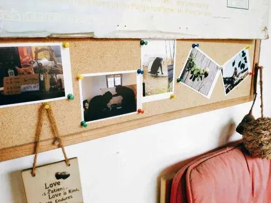 Xiaoya Youth Hostel