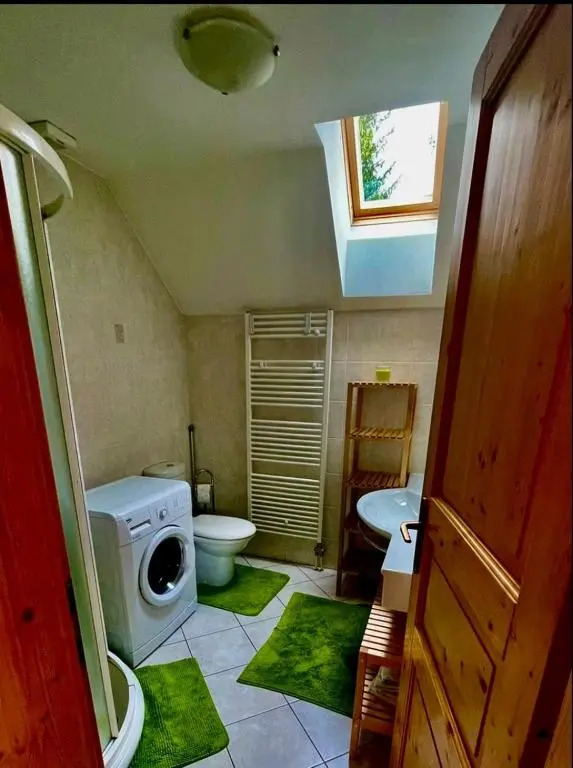 Apartment Dimnik