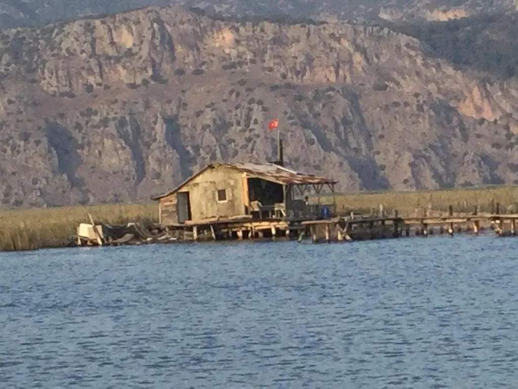 Rose Pension
