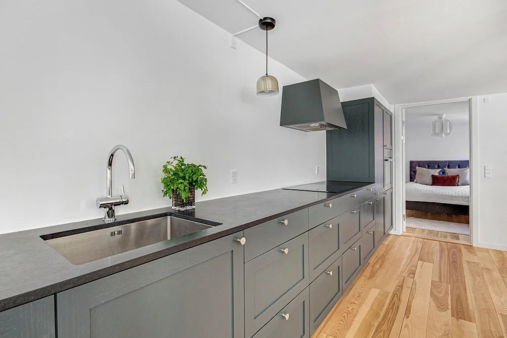 Regent 5 - Large Apt With Terrace Right in Centre of Copenhagen