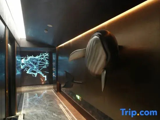 Shijian Hotel (Nanjiao Airport Jingkai Wanda)