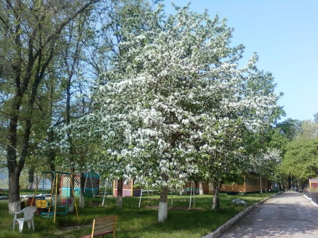 Волна