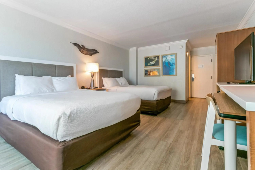 Dolphin Sands Clearwater Beach, an Ascend Collection Hotel