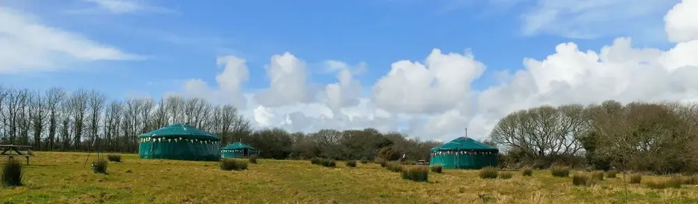 Wych Elm Glamping
