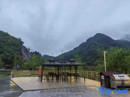 Vogue Homestay