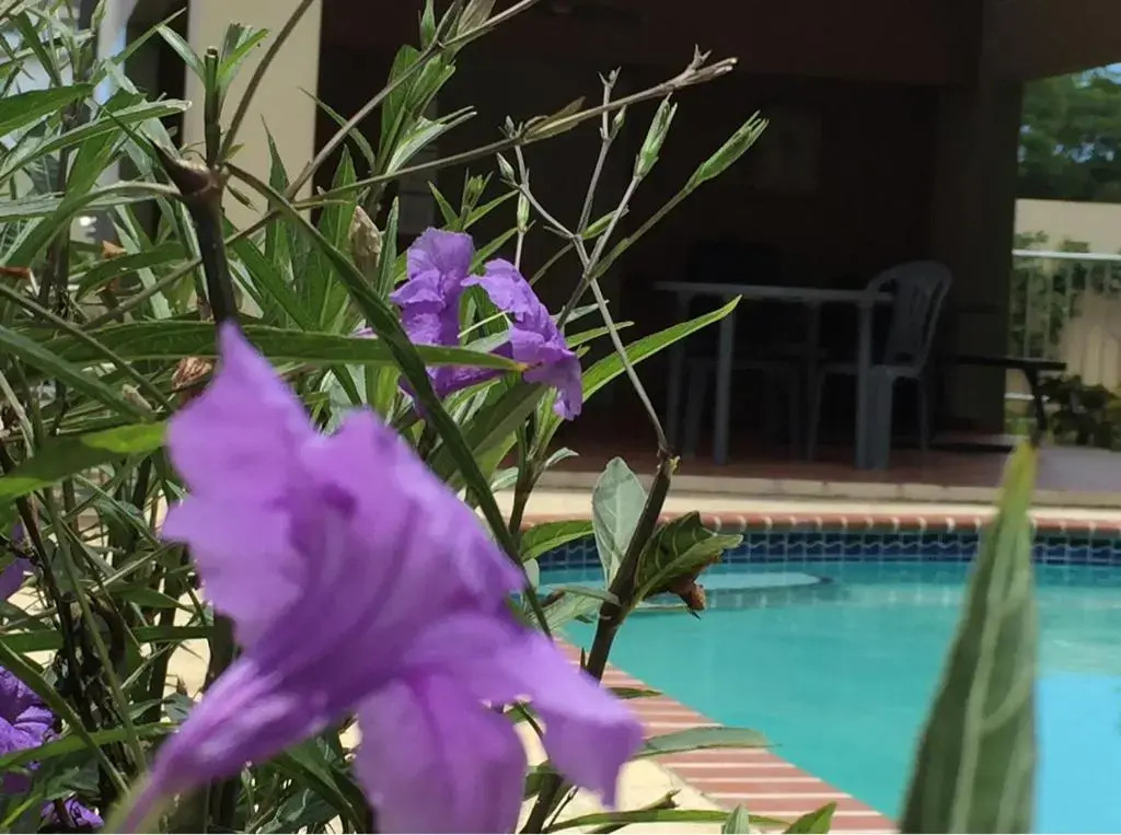 Coqui penthouse 2 across Rincon beach, pool, bbq, power and water bup