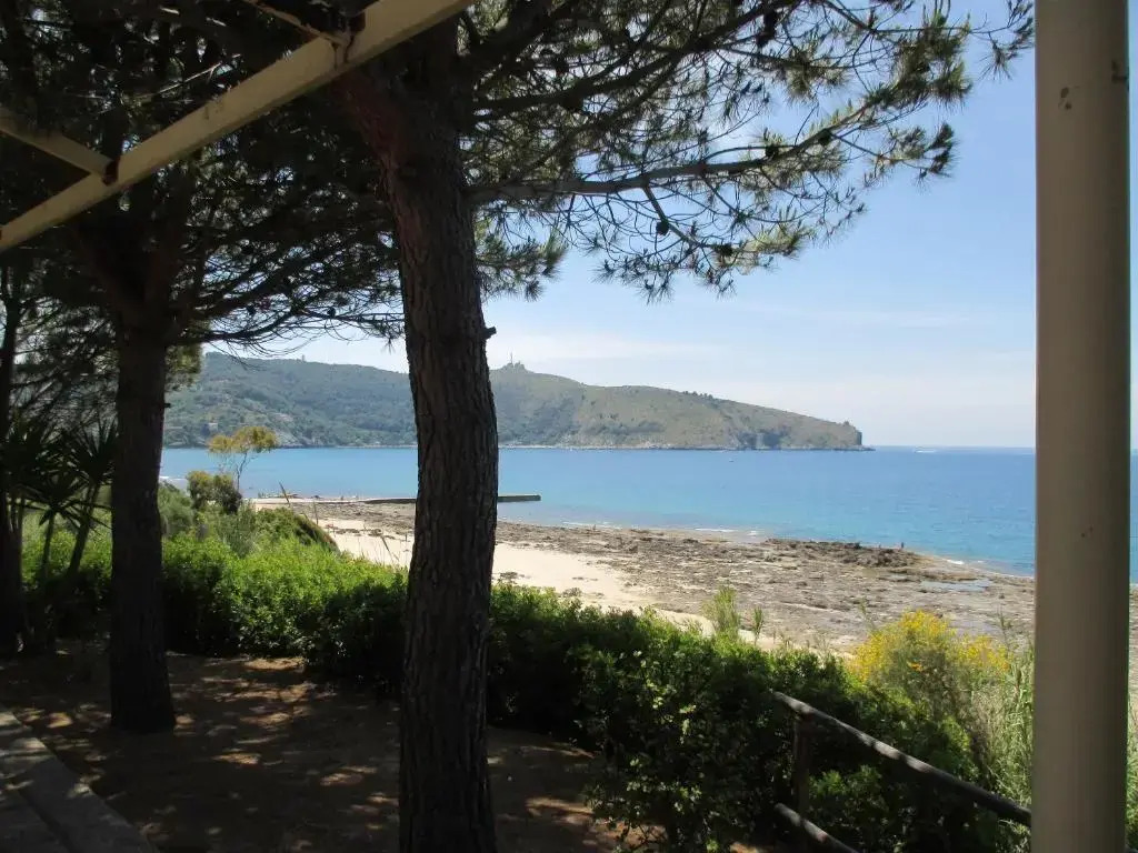 Amanti Del Mare