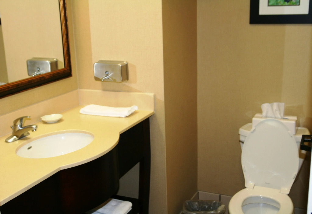 Hampton Inn Mount Airy