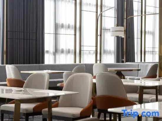 Zhu Zhou Little swan deiss hotel