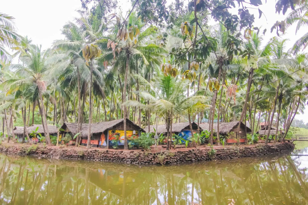 Palm Trees Ayurvedic Heritage