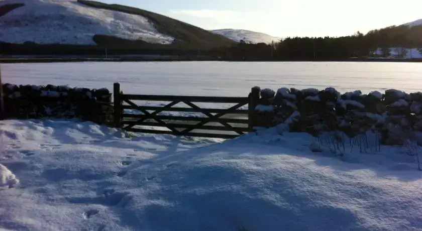 St Marys Loch Bed and Breakfast