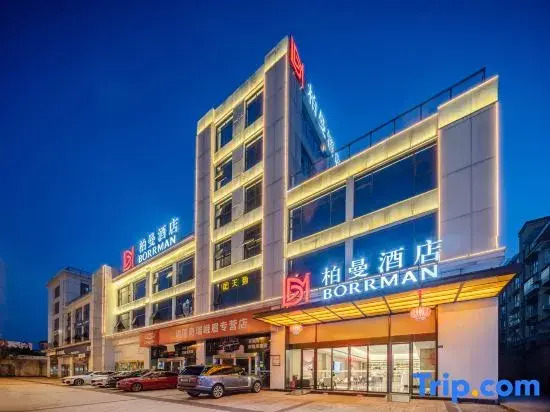 Borrman Hotel (Emei High-speed Railway Station Shuijing Square)