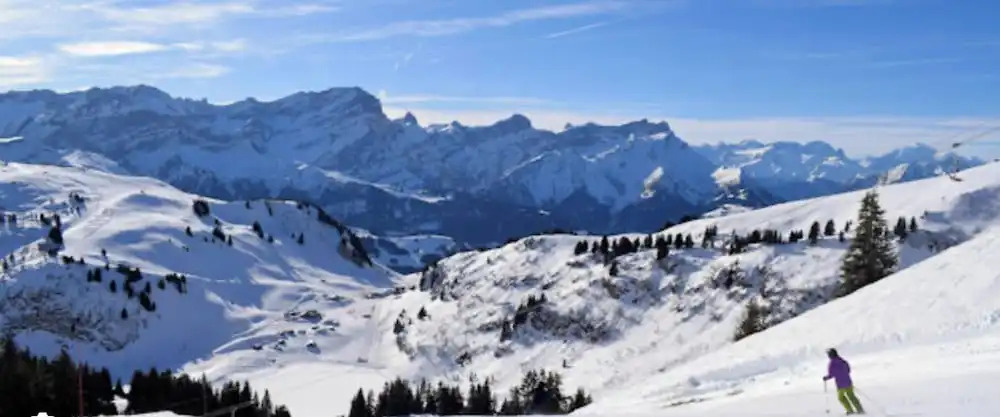 Little Chalet Piguet