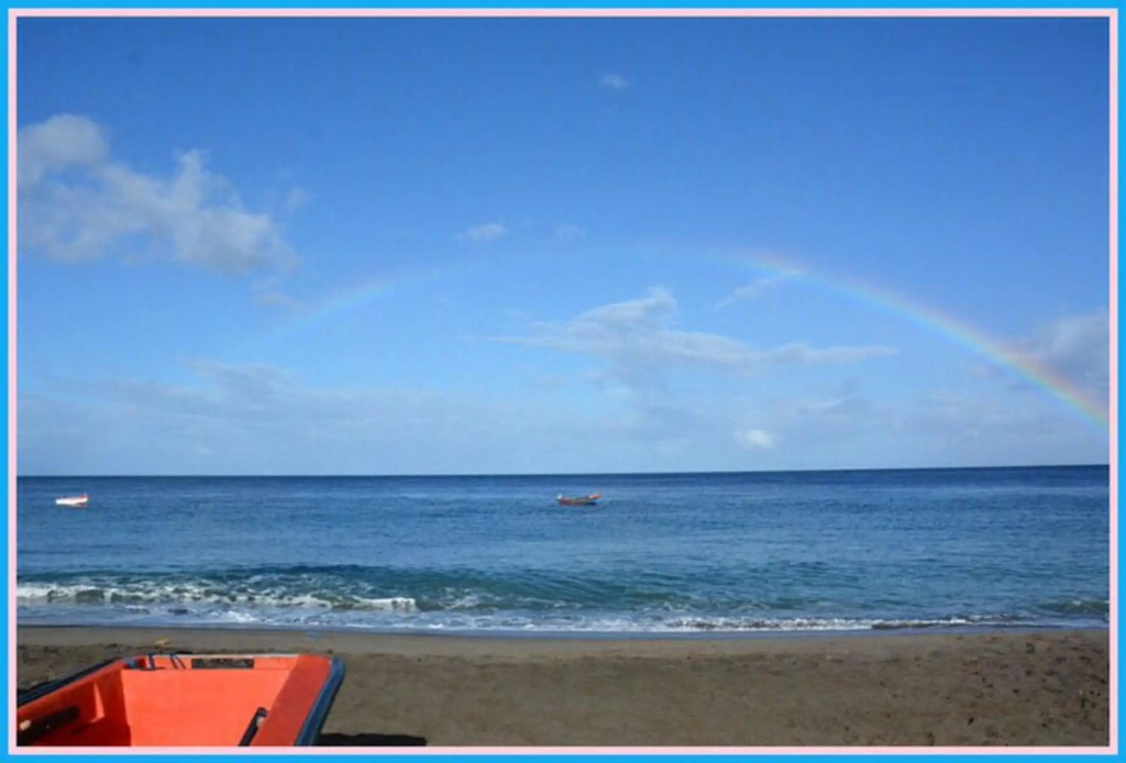 Appartement d'une chambre a Le Carbet a 1 m de la plage avec vue sur la mer jardin clos et wifi