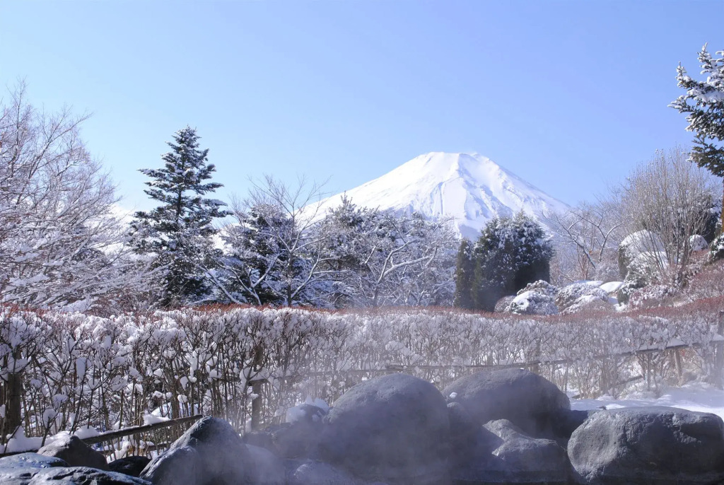 Hotel Mt. Fuji