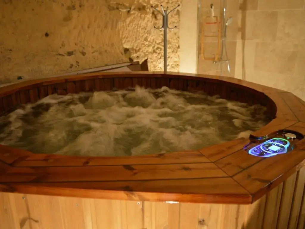 Maison troglodyte de charme avec salle de jeux et spa à Vouvray - FR-1-381-87
