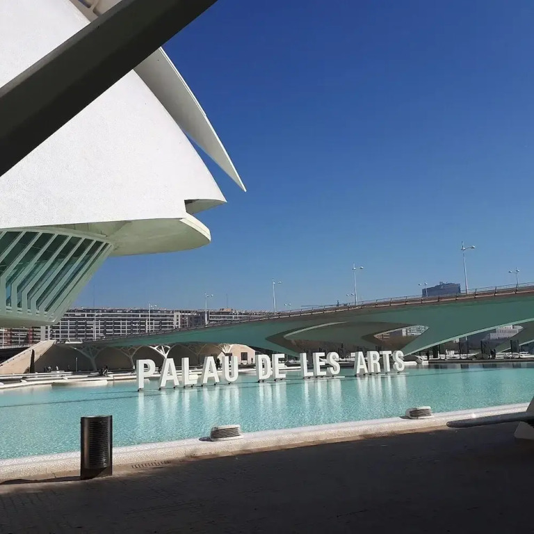 Quiet Single Room in Valencia, With Large Terrace for Pets