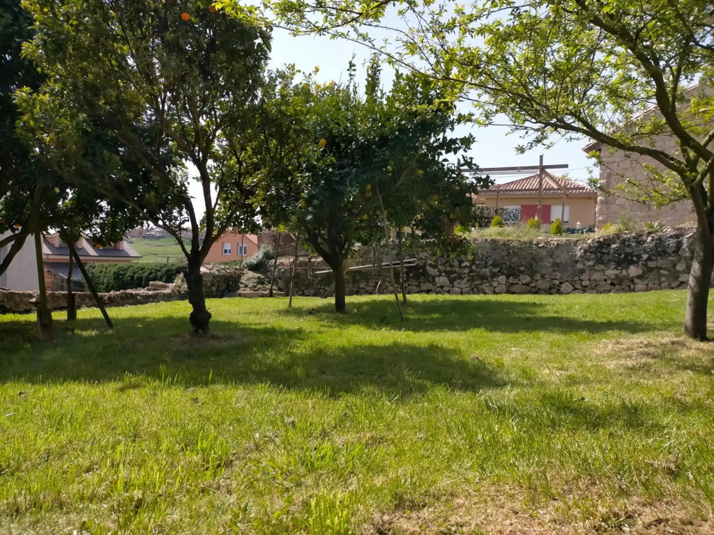 La casa del Limonero