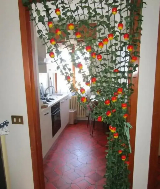 Rainbow House