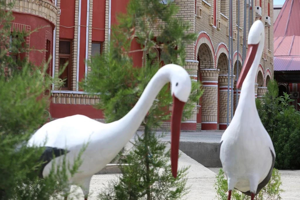 hotel nukus plaza