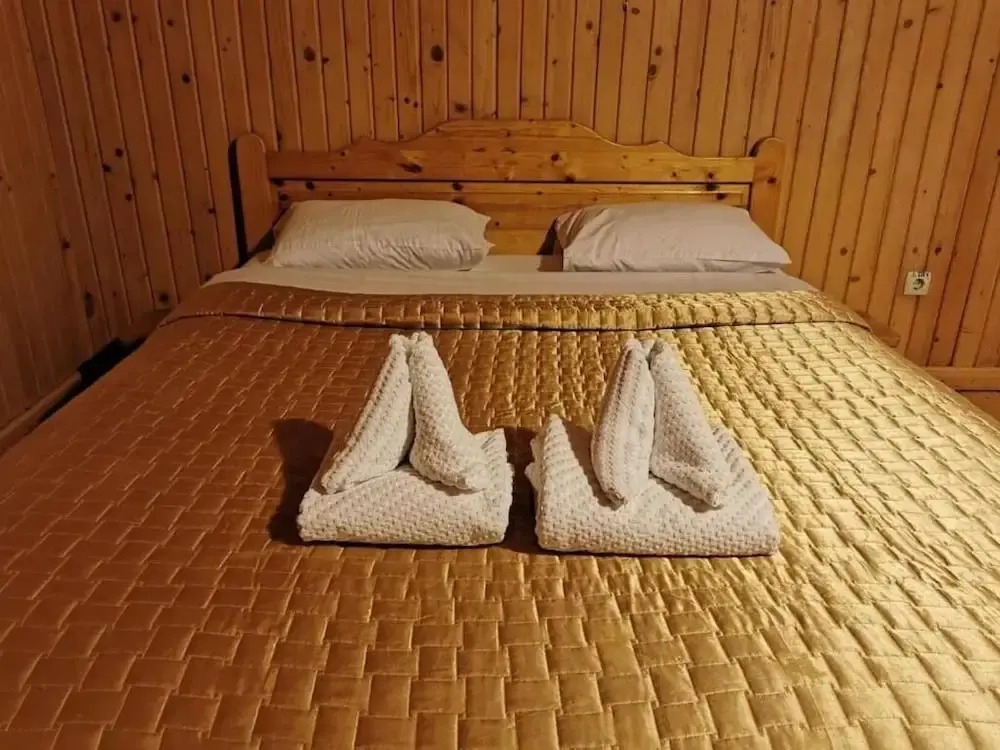 PENSIUNEA VALEA CETATII
