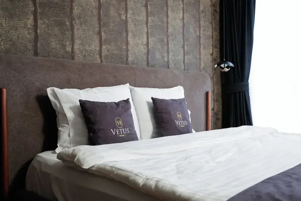 Vetus Hotel