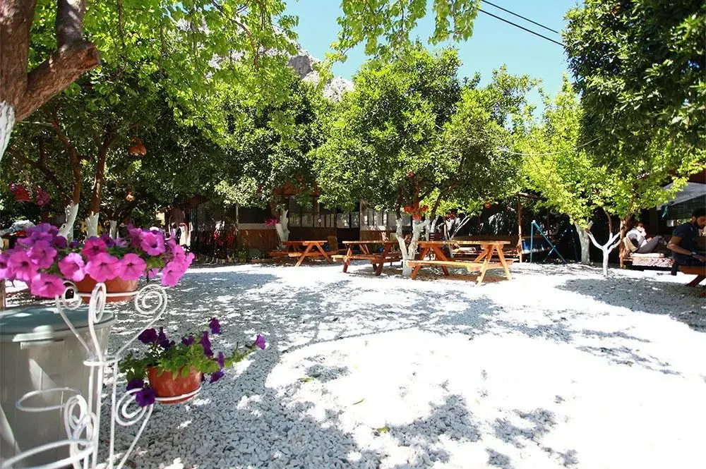 Olympos Yakamoz Pansiyon