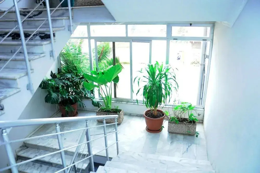 Ras Amba Hotel
