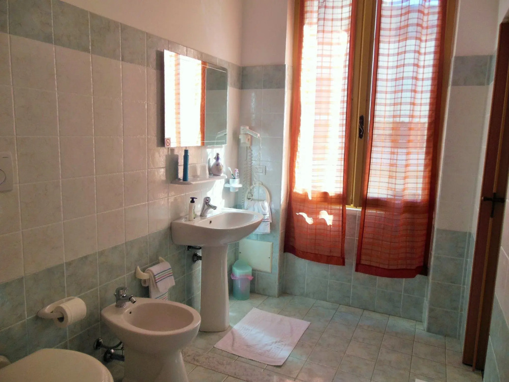 Actinia Accommodation