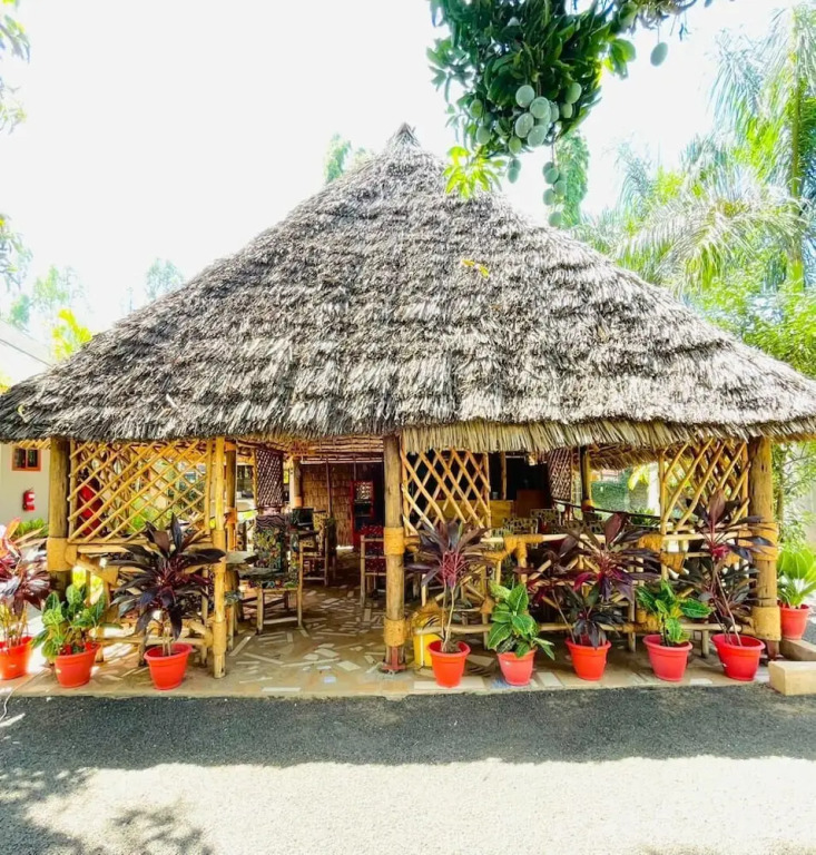 Paki Hotels&apartment