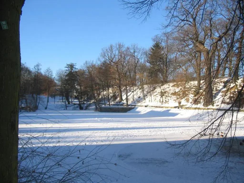 Ferienwohnungen Burg im Zwinger
