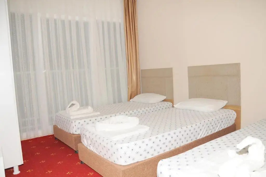 Volkii butik hotel